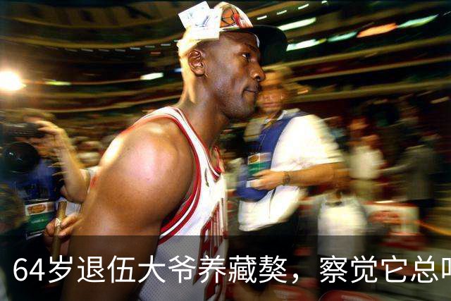 64岁退伍大爷养藏獒，察觉它总叼袜子去阳台，专家：不好，快送走